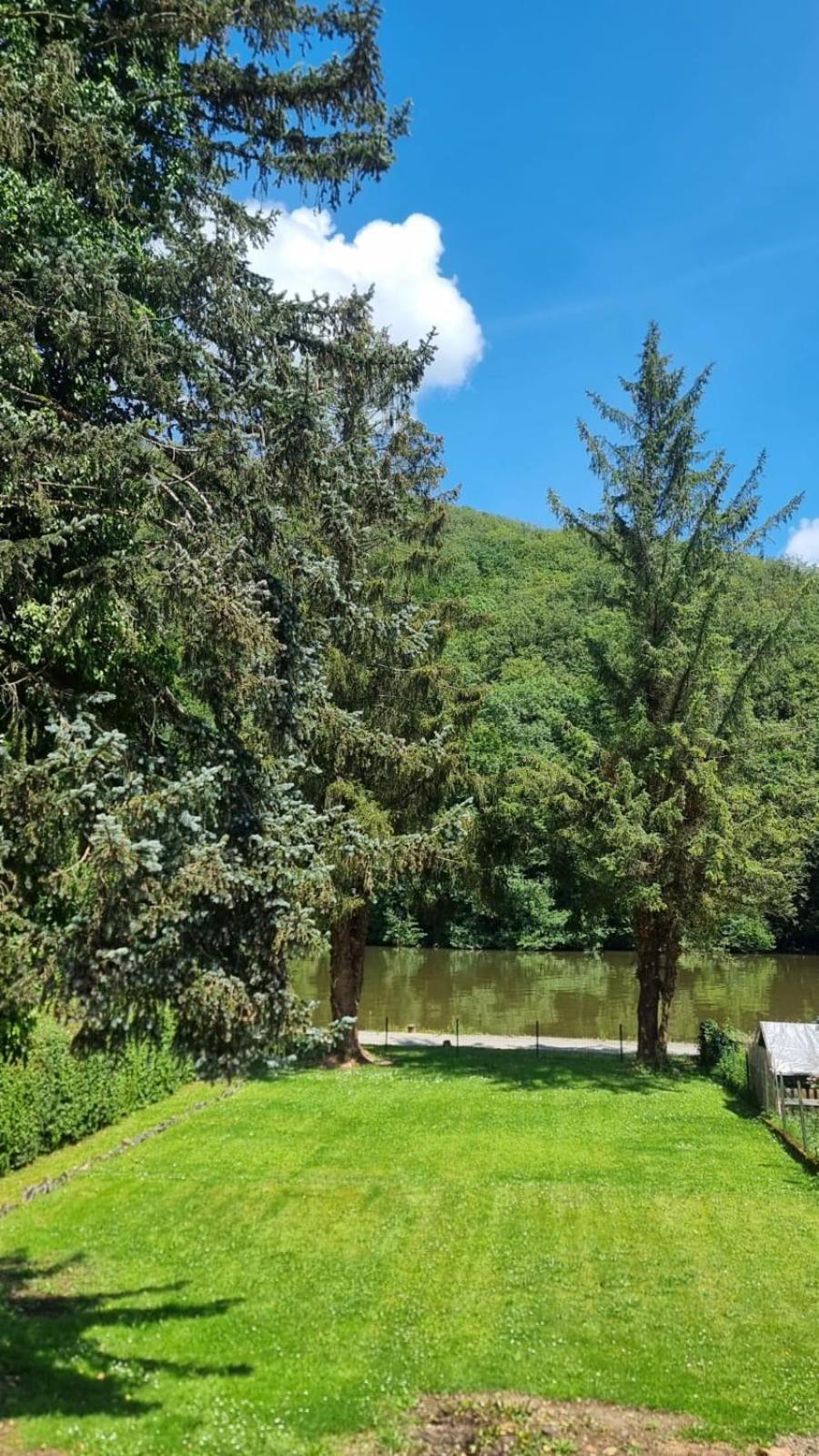 Le Sapin Bleu Villa Hastiere-par-dela Buitenkant foto